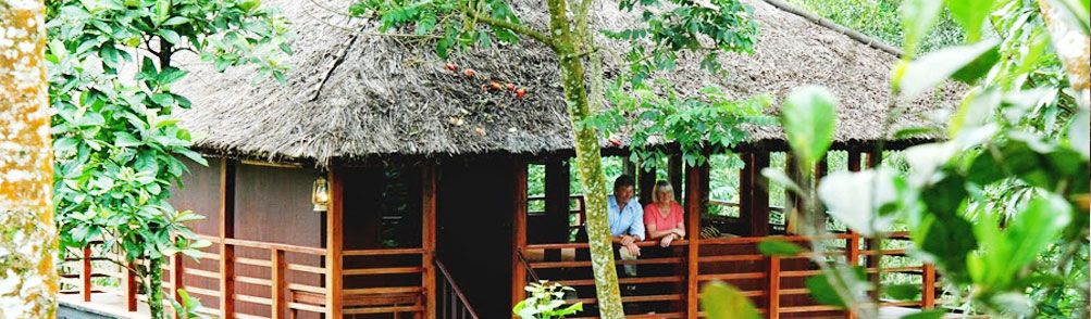 Tree House