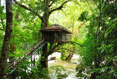 Idukki Tree House