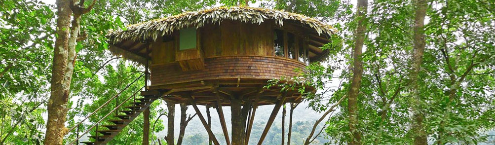 Tree Houses