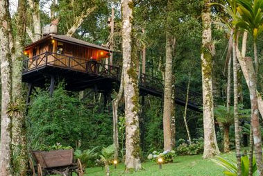 Kollam Tree Houses