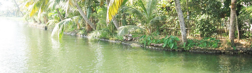 Backwaters