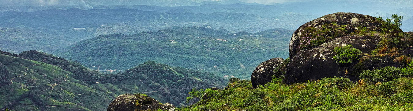 Pothamedu View Point