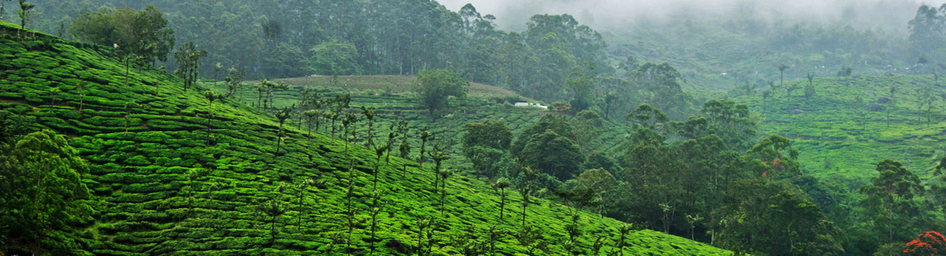 Rajamala