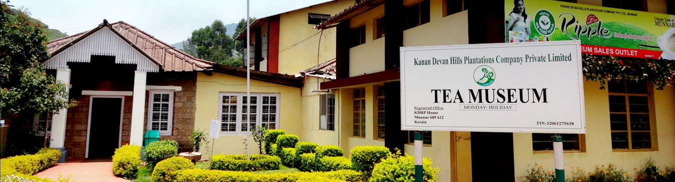Tea Museum