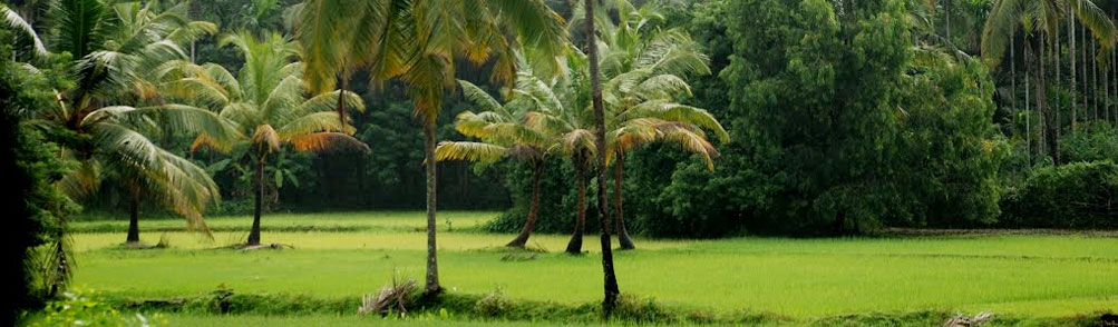 Monsoon Tourism