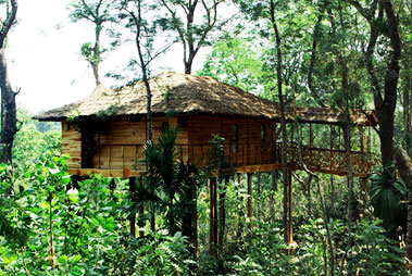 Tree Houses Bekal