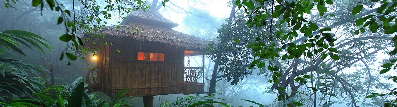 Tree Houses Wayanad
