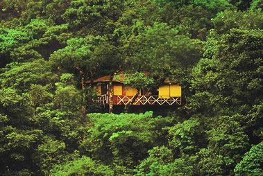 Tree Houses Wayanad