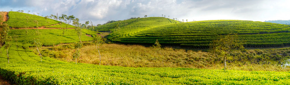 Hill Station