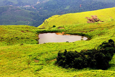 Wayanad Hill Station