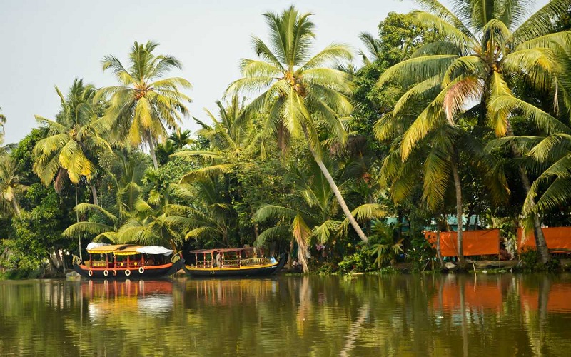 Kozhikode-Backwater