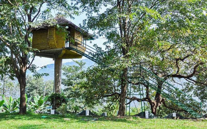 munnar-treehouse