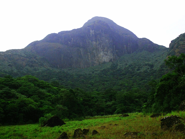 Agasthyakoodam Peak