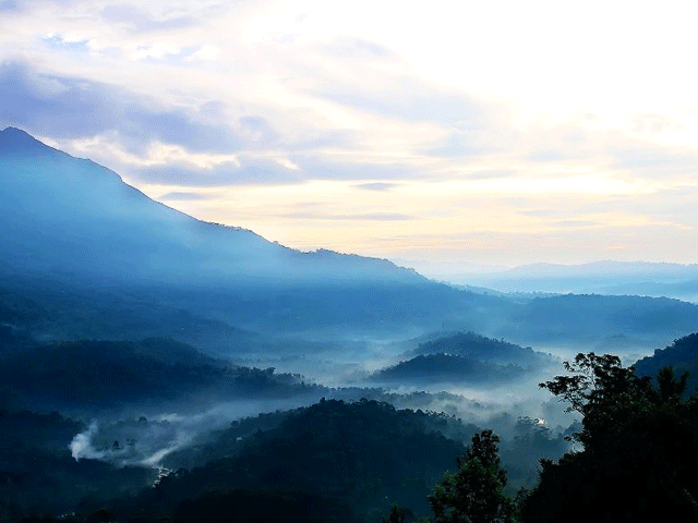 Anamudi Peak: Trekking and Adventure Places in Kerala