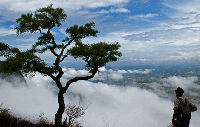 Dhoni Hills: Trekking and Adventure Places in Kerala