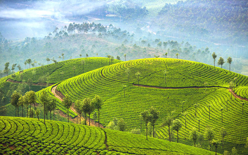 Munnar