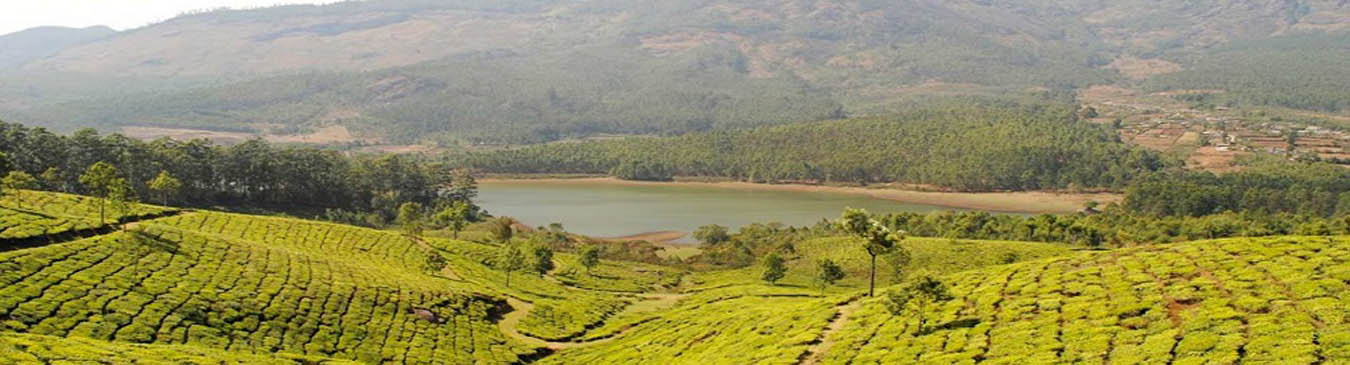 Devikulam