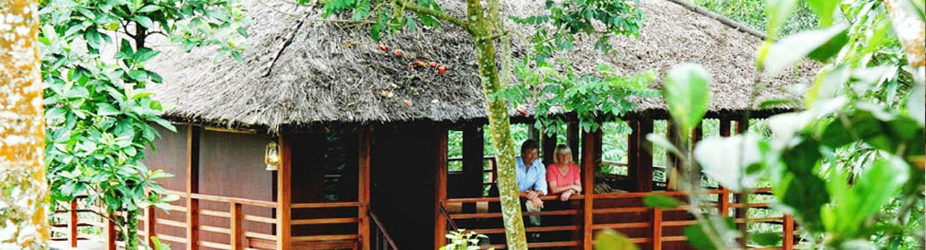 Tree House