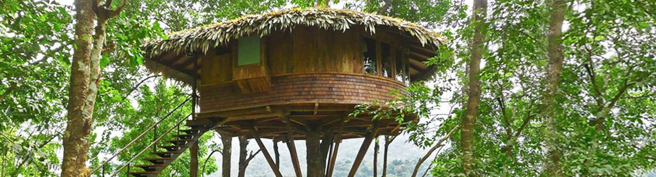 Tree Houses