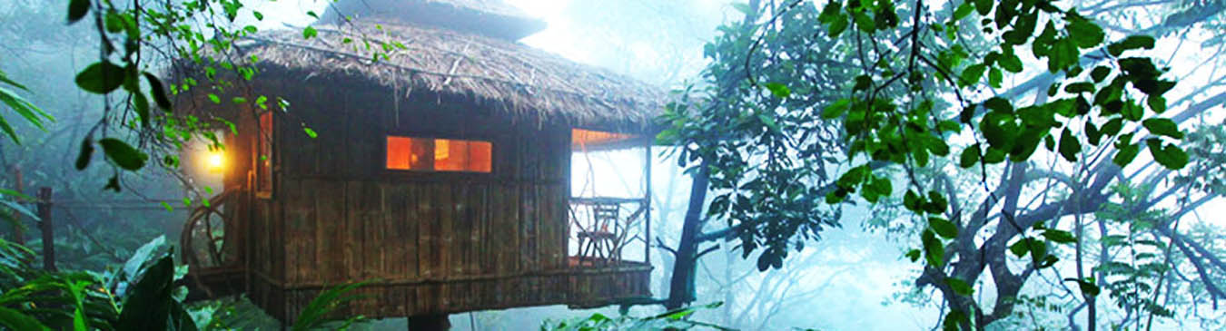 Tree Houses