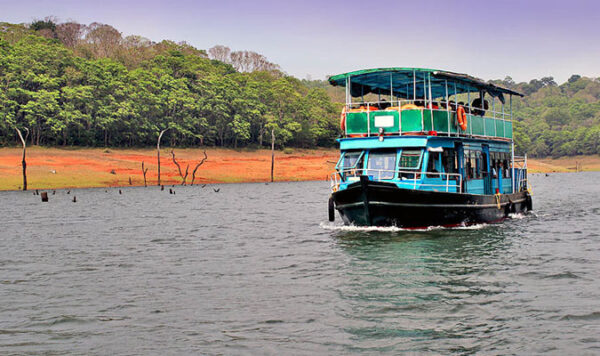 3 Days Periyar Tour with Treehouse