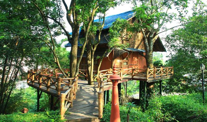 3 Days Wayanad Tour with Vythiri Treehouse