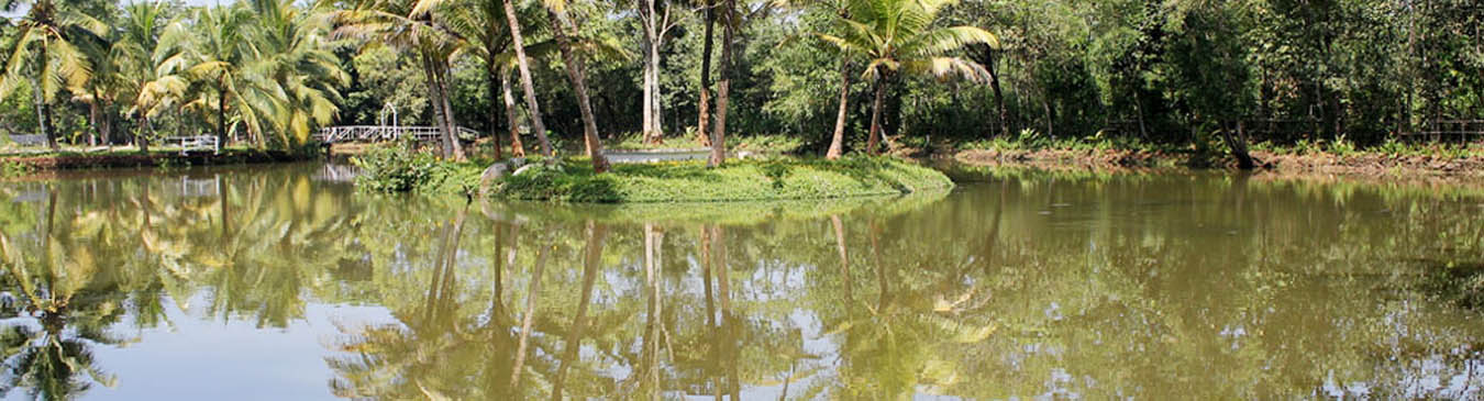 Backwaters