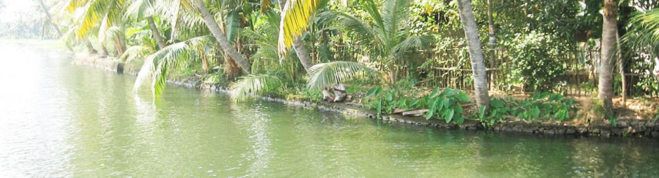 Backwaters