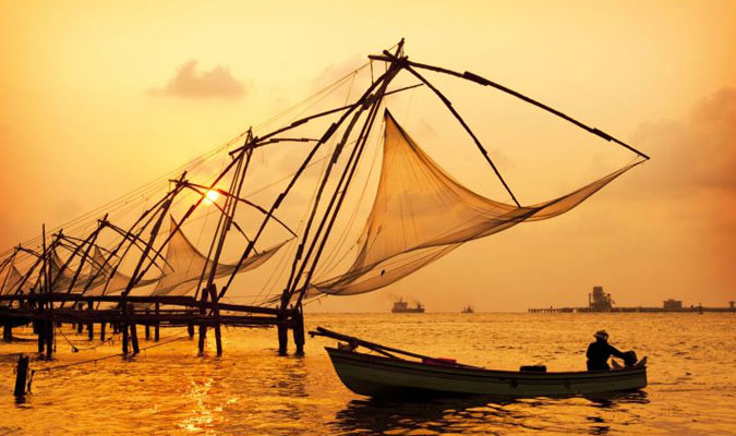 Best of Kerala with Treehouse Stay