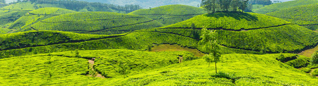 Hill Station