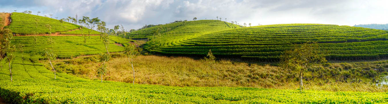 Hill Station