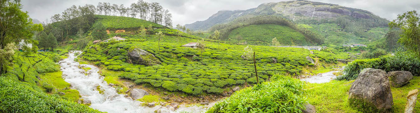 Hill Station