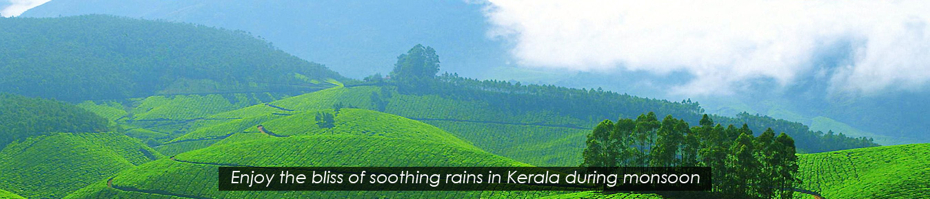 Kerala Monsoon