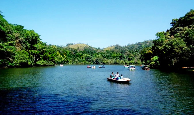 Kerala Wild Sojourn