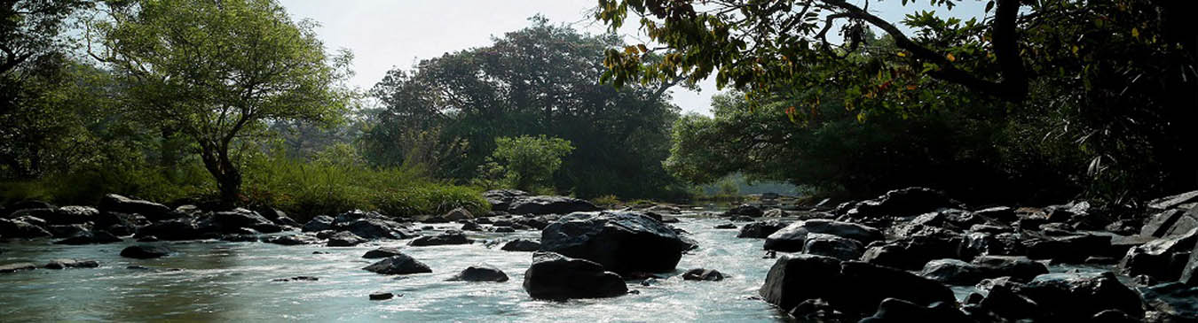Kuruva