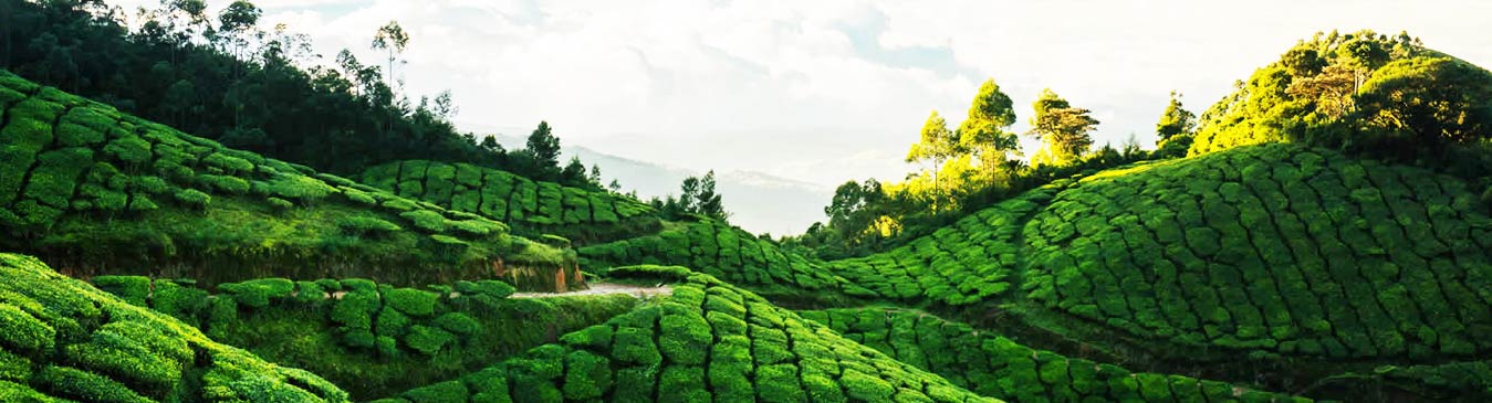 Munnar