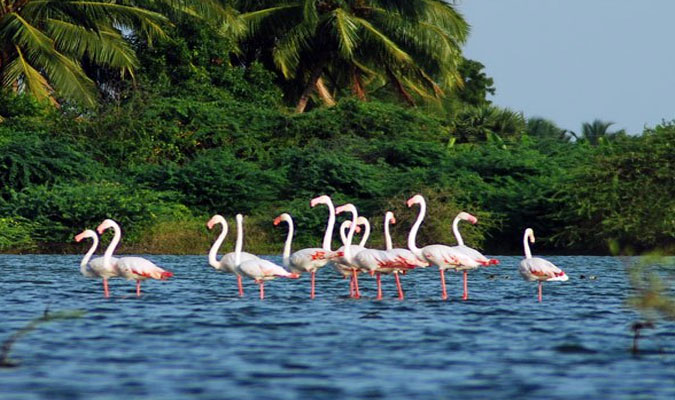 Oberoi Vrinda Cruise