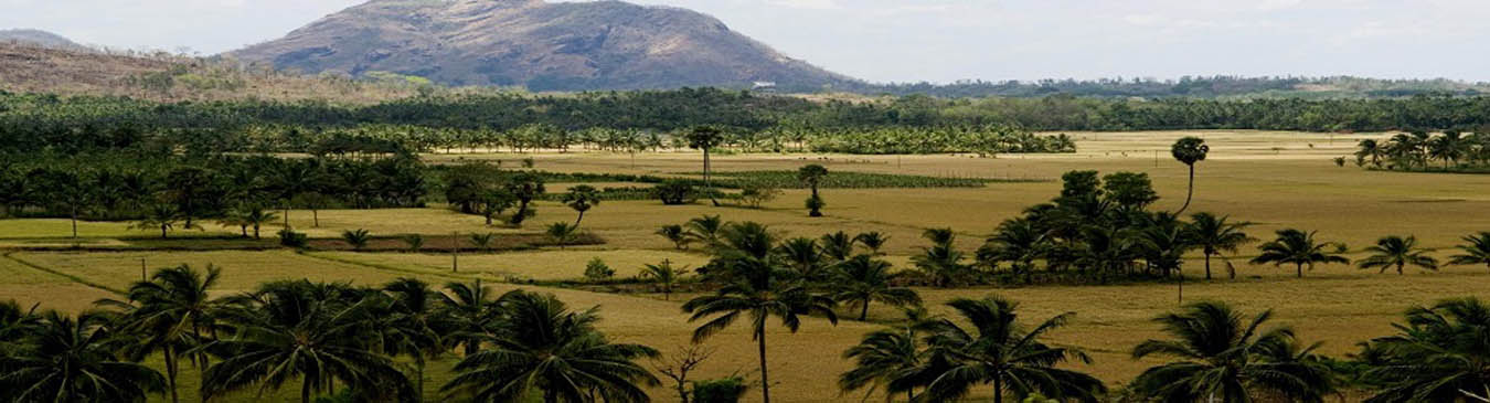 Palghat