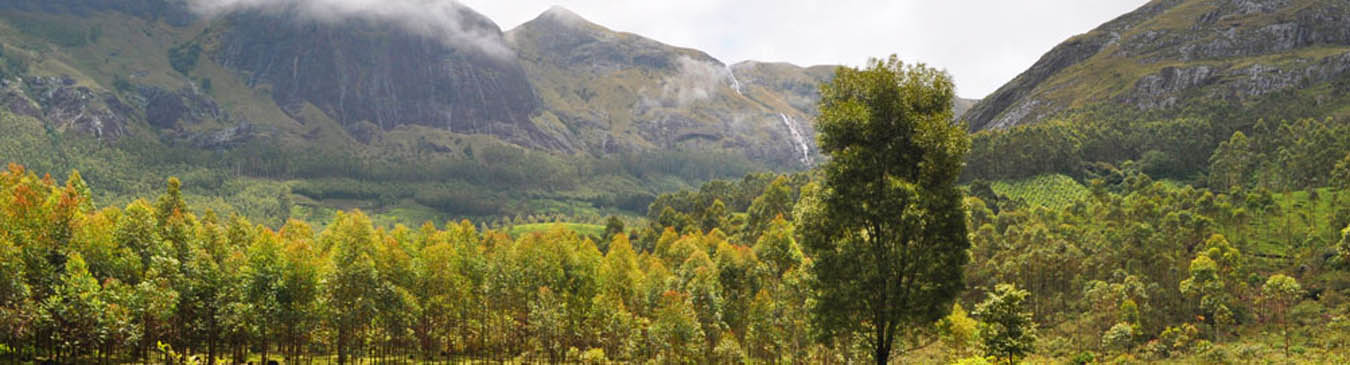 Silent Valley