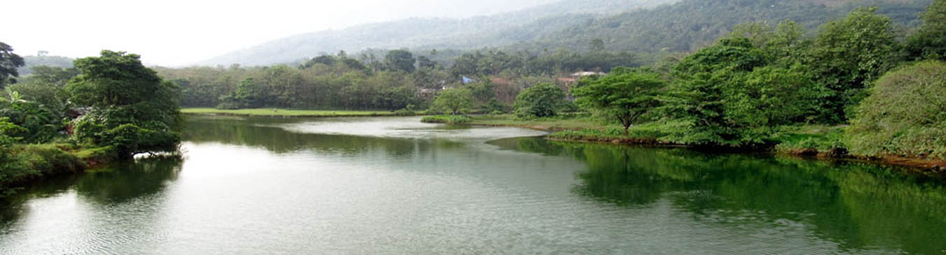 Thodupuzha