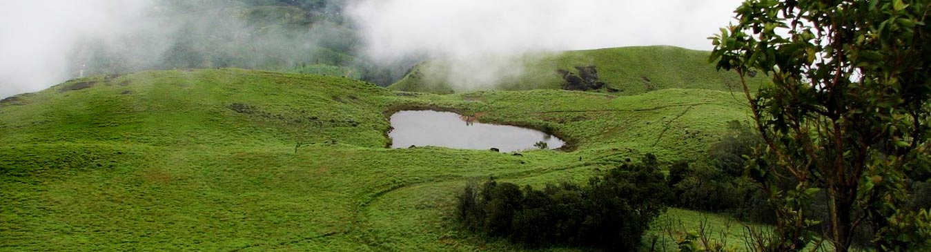 Wayanad
