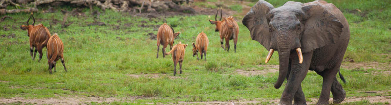 Wildlife Sanctuary